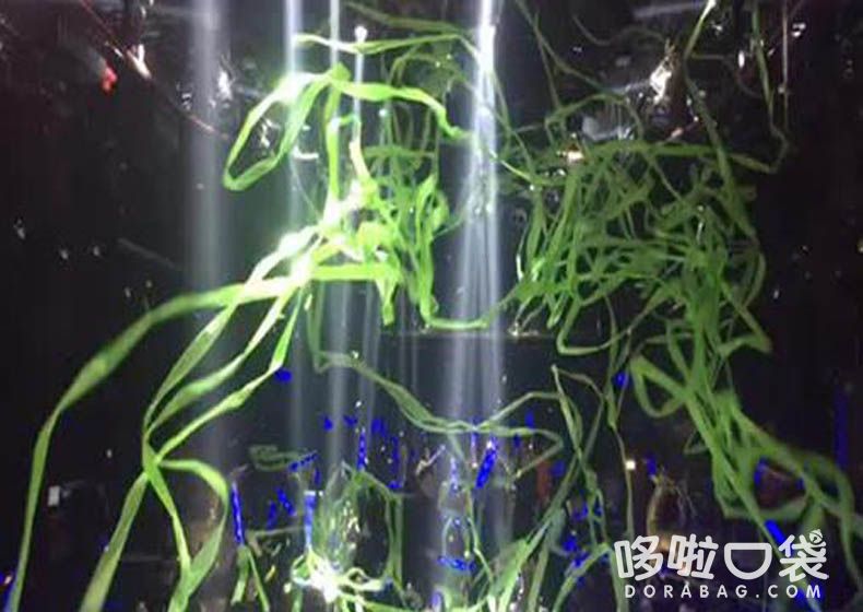 彩带机